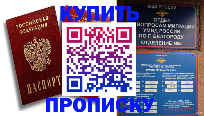 прописка иностранных граждан в Кандалакше